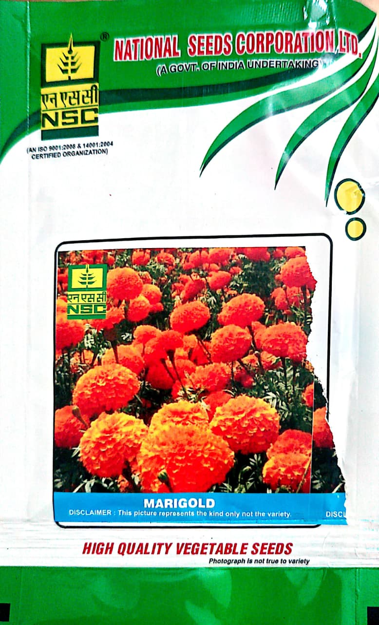 NSC High Quality Marigold/ Pusa Narangi Flower Seeds (10 gm) T/L