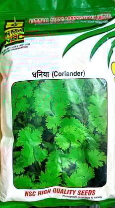 NSC High Quality Dhania Coriander Seeds for Home Gardening 500 Gm T/L