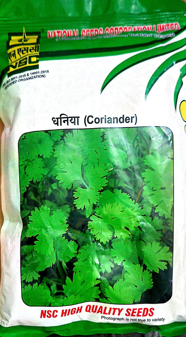 NSC High Quality Dhania Coriander Seeds for Home Gardening 500 Gm T/L