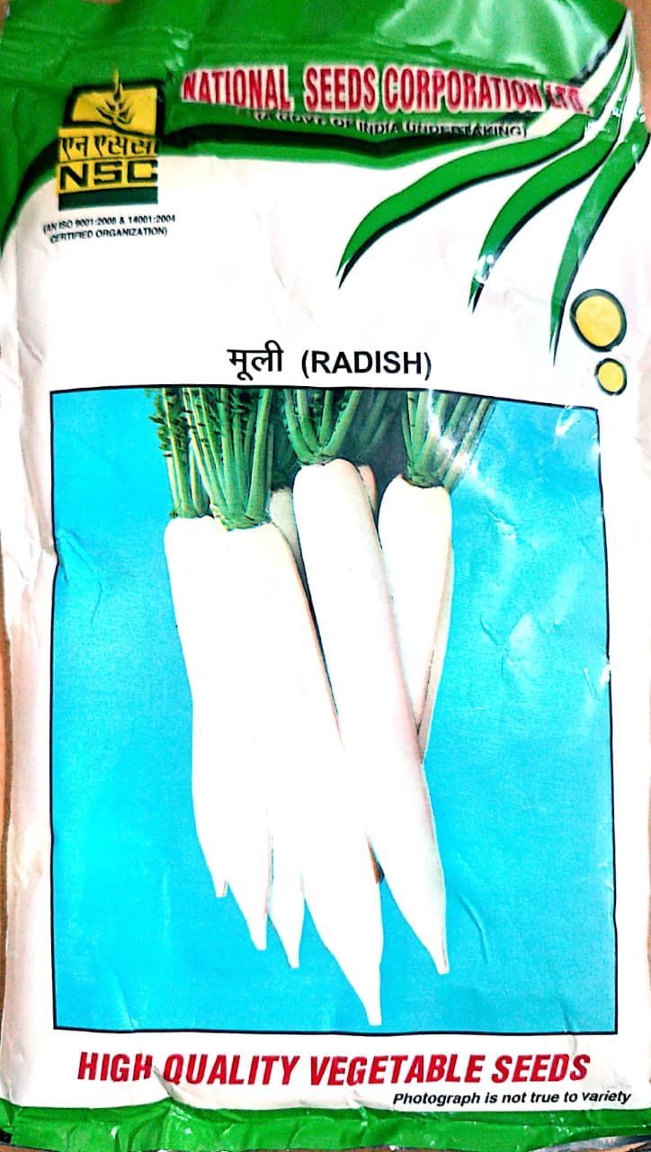 NSC High Quality Radish (Mooli) /KASHI HANS (250 gm) Vegetable Seeds for Home Gardening T/L