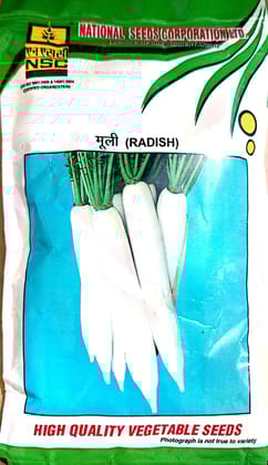NSC High Quality Radish (Mooli) Kashi Mooli-40 Vegetable Seeds for Home Gardening 250 gm T/L