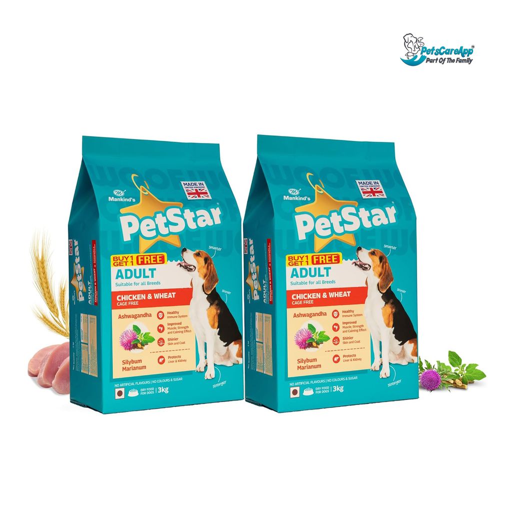  Petstar Chicken and Wheat Adult Dog Dry Food 