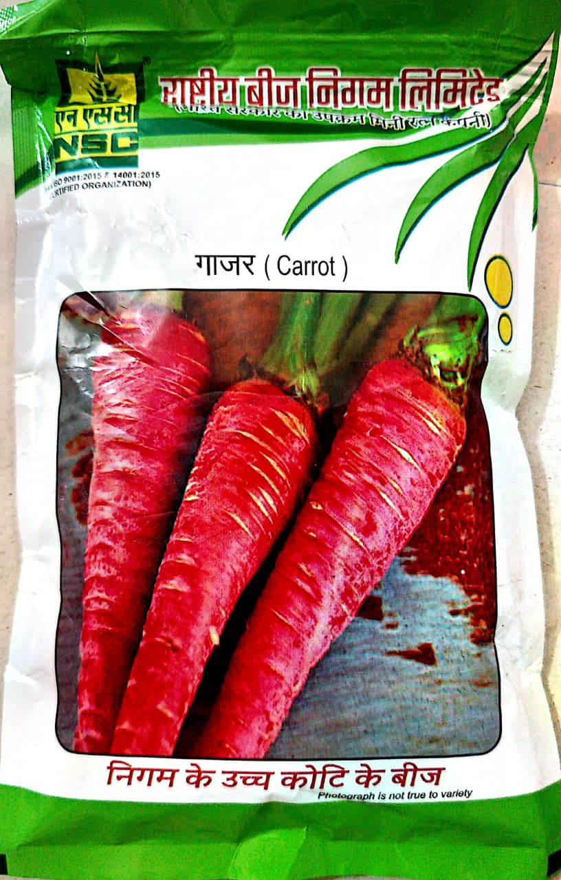 NSC High Quality Carrot Seeds / PUSA RUDHIRA (100 gms) - Fresh & Flavorful, Home Garden T/L
