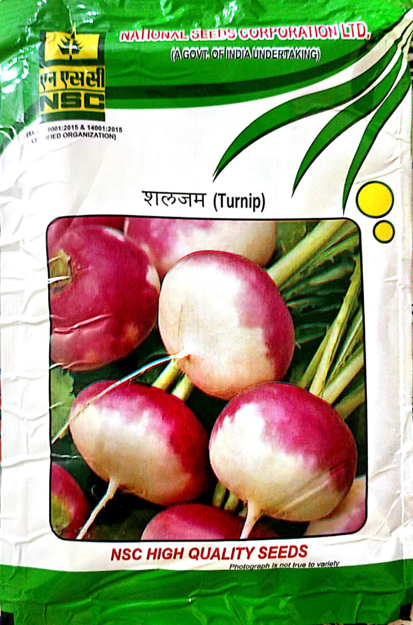 NSC High Quality Turnip Seeds/ PTWG (100 gms) T/L