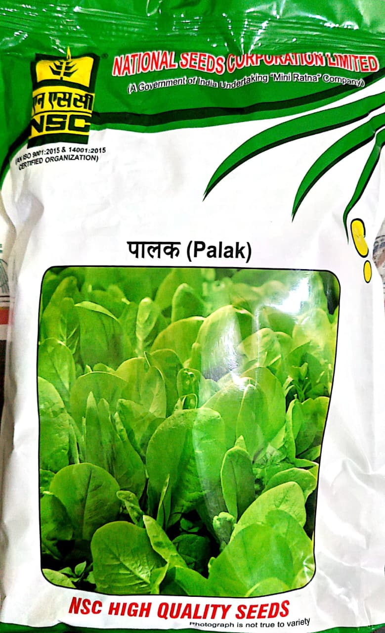 NSC High Quality Palak (Spinach) Seeds / ALL GREEN for Home Gardening 500 gms T/L