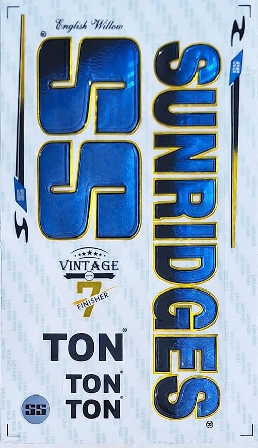 VR3 INTERNATIONAL | 3D FNSHR Edition | English Willow | Embossed Cricket Bat Sticker | Blue