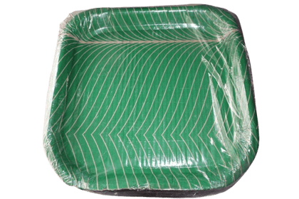 Green Disposable Square Plates with Leaf Design