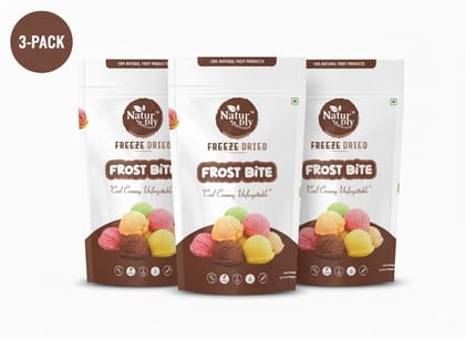 NaturDry Family Pack Freeze-Dried Frost Bite Ice Cream | Lightly Sweetened, Healthy Snack | 20g - Pack of 3