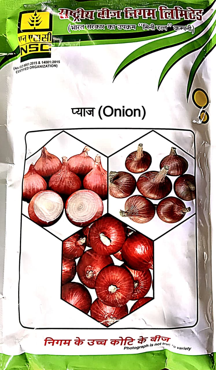 NSC ONION Seeds(AFLR variety)