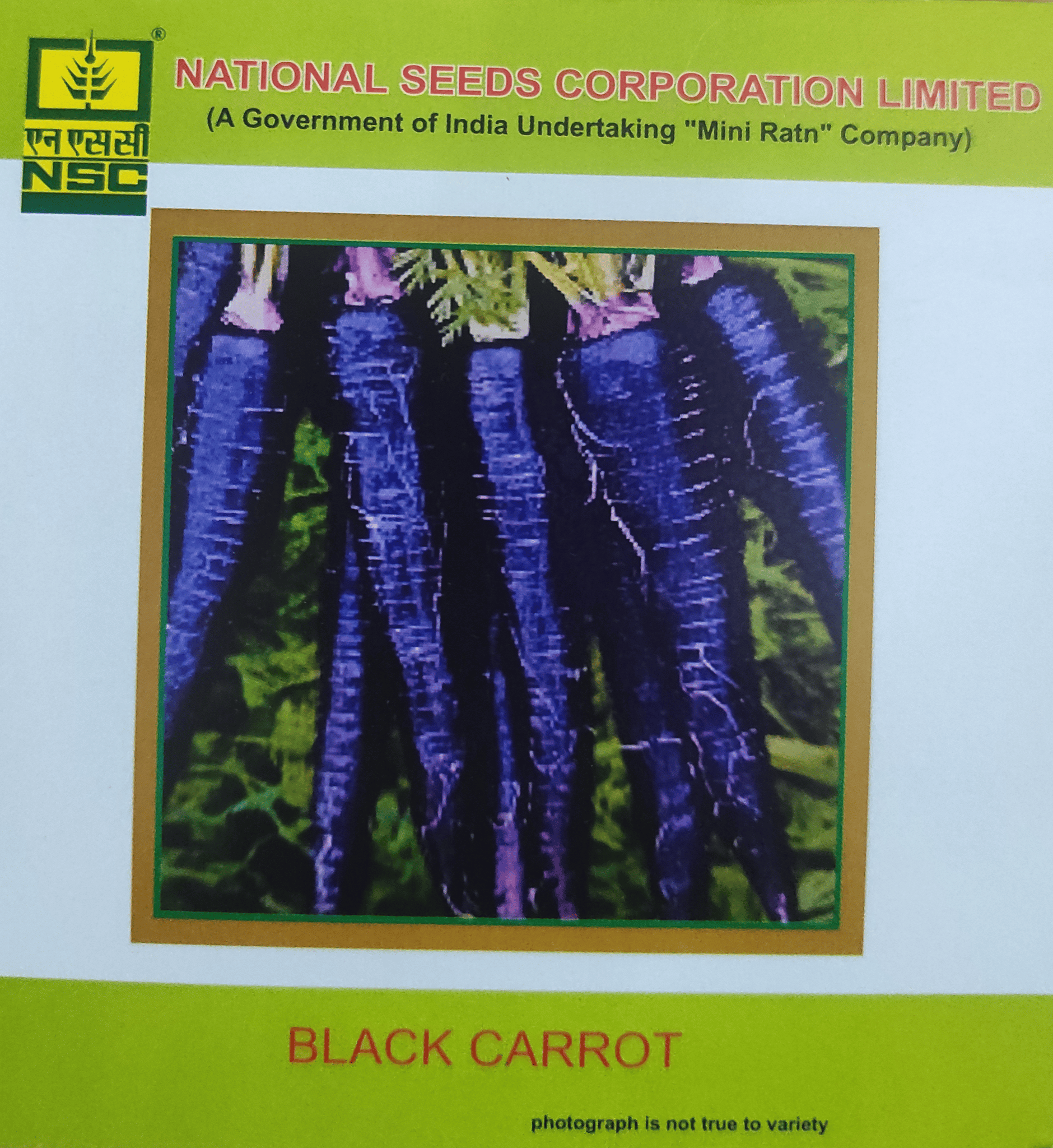 NSC Black Carrot, Pusa Asita 