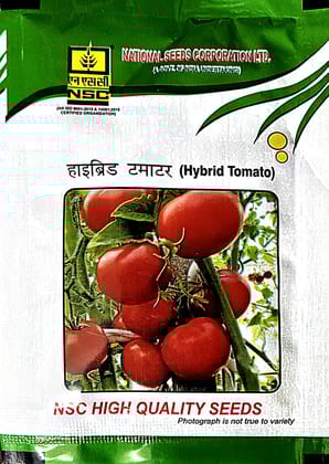 NSC  Hybrid Tomato Seeds (VARIETY: ARKA SAMRAT)