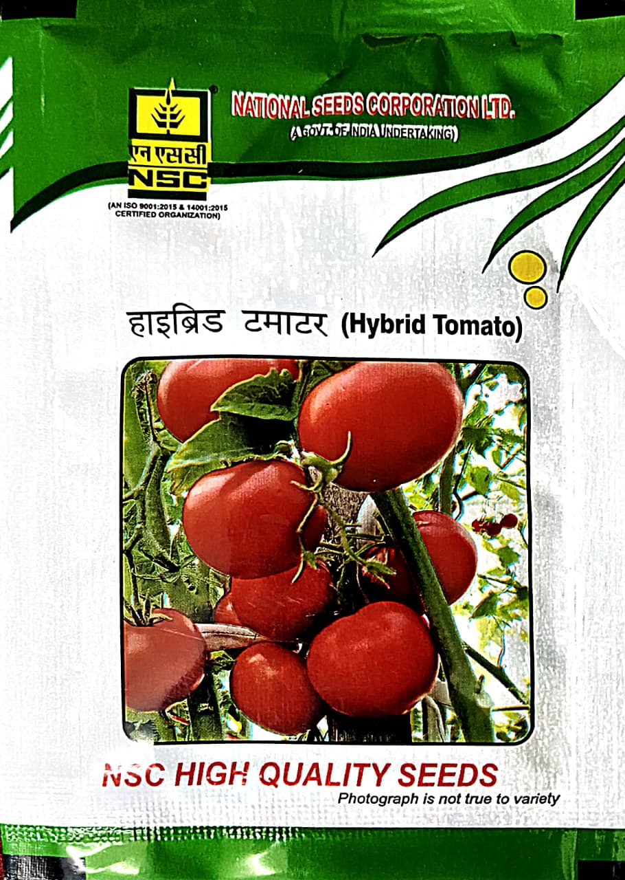 NSC  Hybrid Tomato Seeds (VARIETY: ARKA SAMRAT)