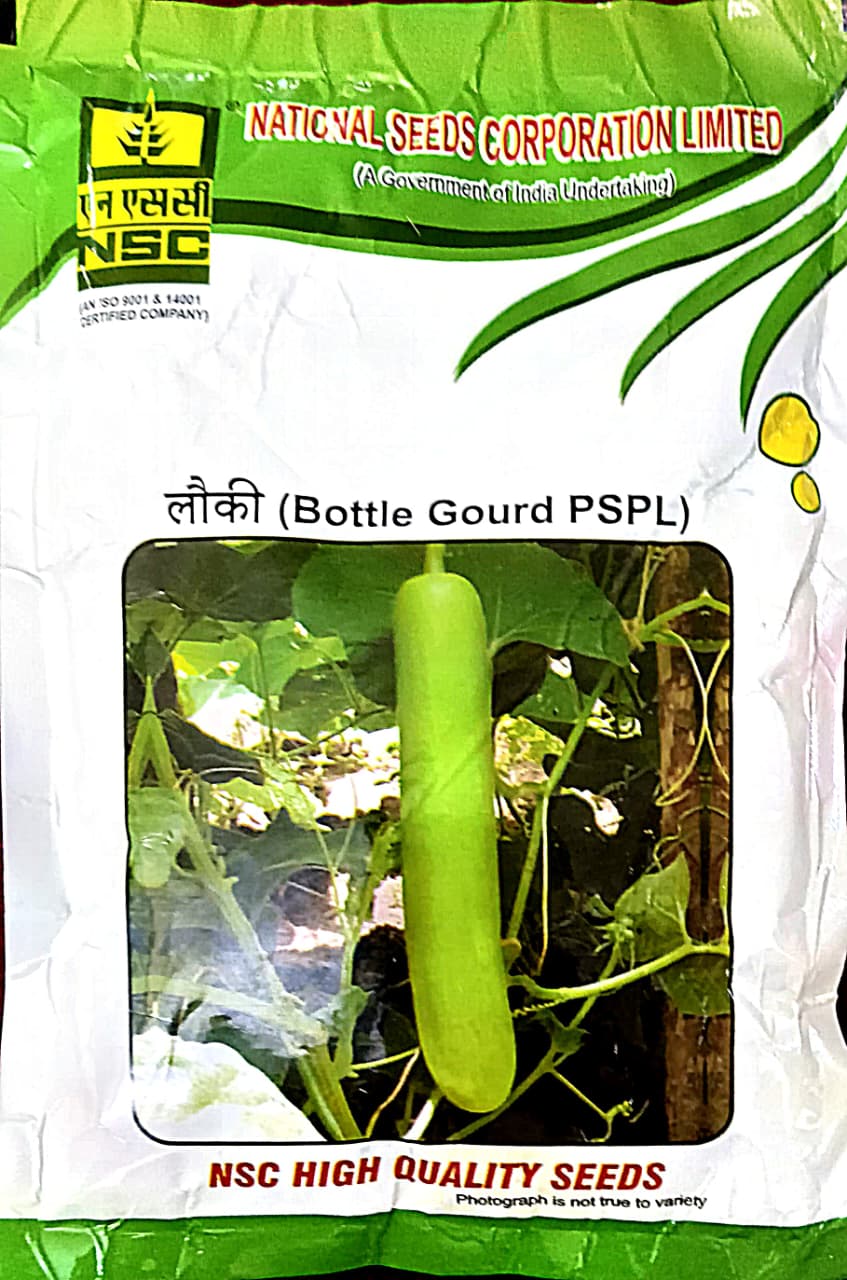 NSC Bottle Gourd  Seeds (PSPL Variety)