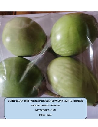 Fresh Green Brinjal - 1kg Pack