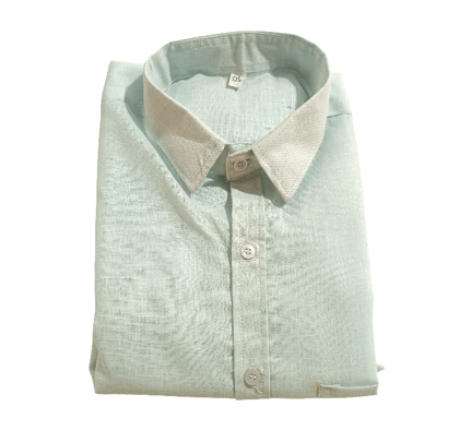 Men's Light Green Shade Cotton Casual Shirt 