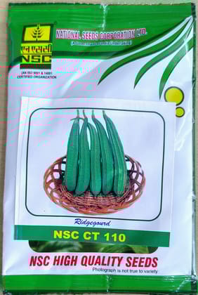 RIDGE GOURD NSC CT 110