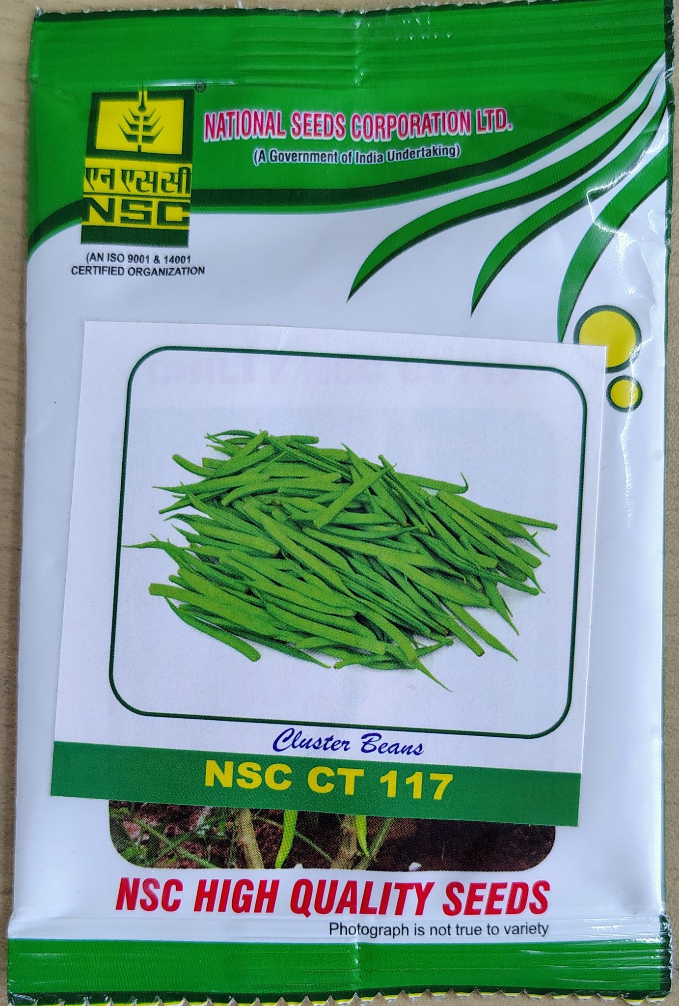 CLUSTER BEANS NSC CT 117