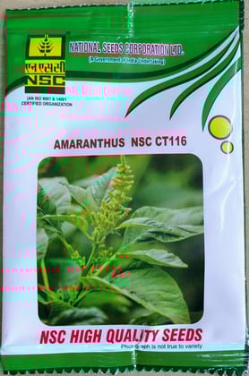 AMARANTHUS  NSC CT 116