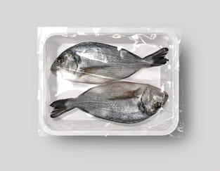 Grass Carp (Katla) & Common Carp (Rui)