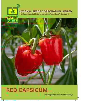 NSC Red Capsicum Seed 