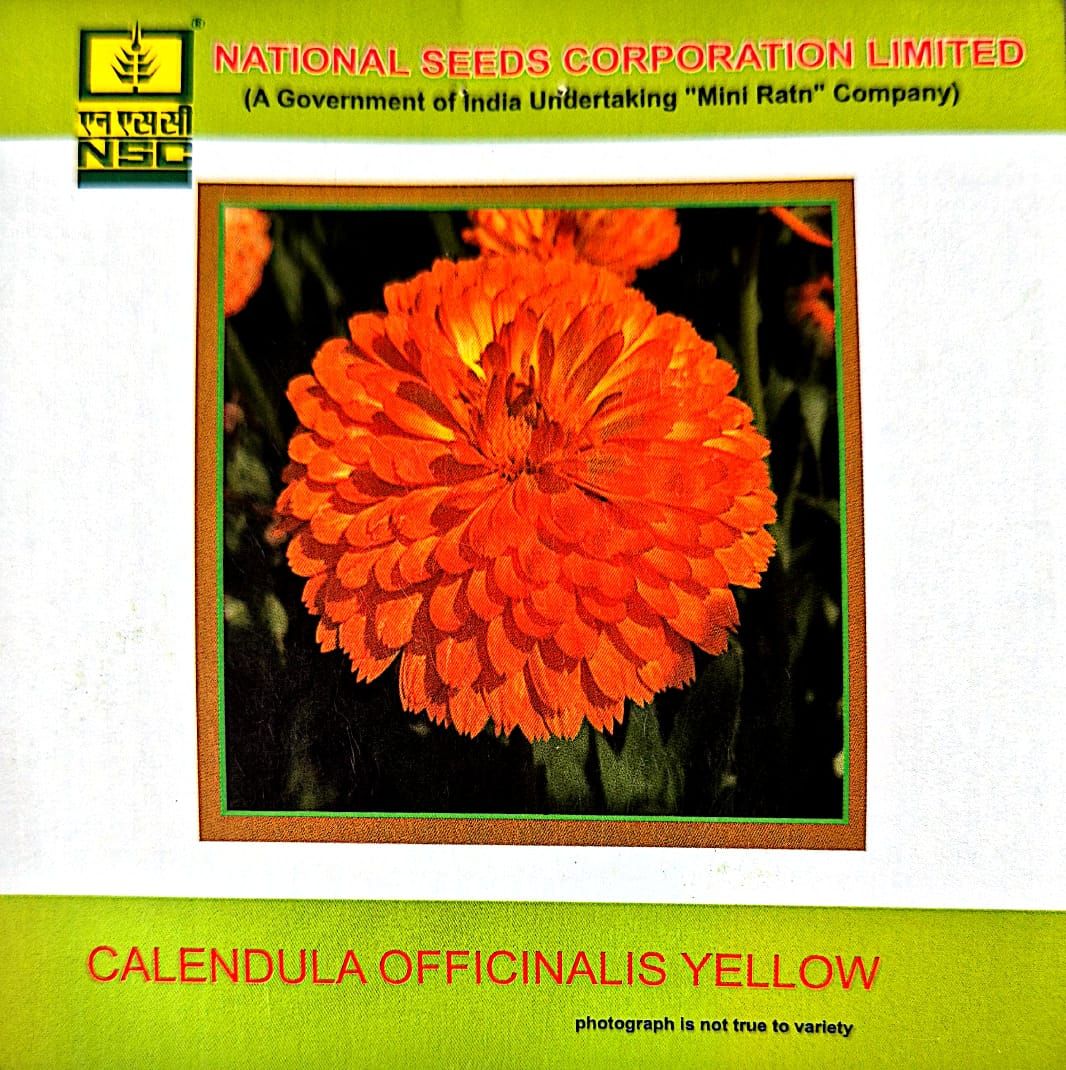 Calendula Officinalis Orange Gitana-3gm