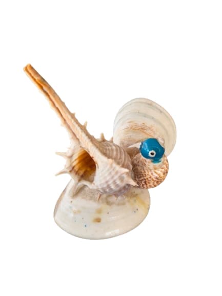 Natural Seashell Decorative Figurine with Blue Eye Accent