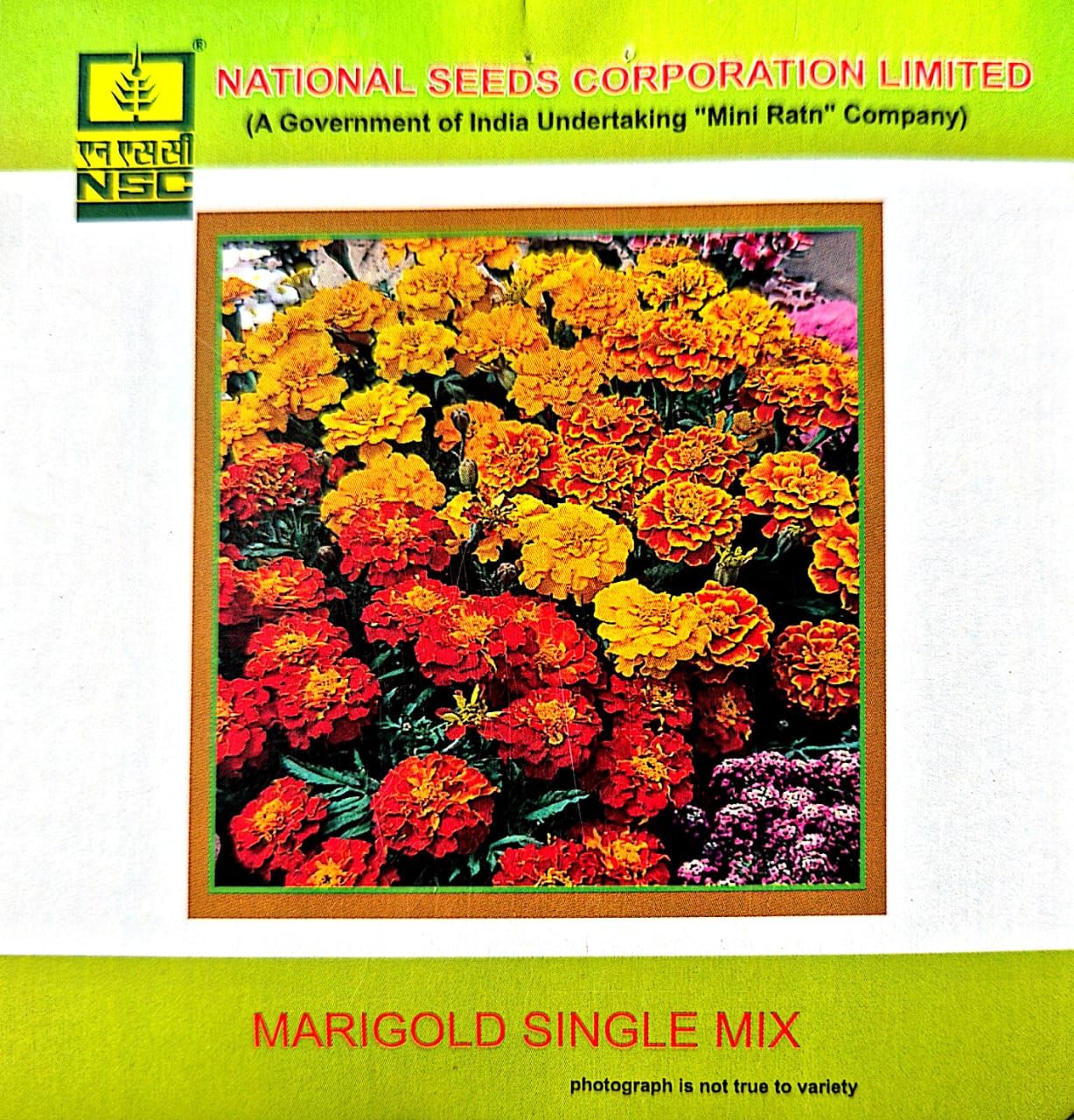 Marigold Single Mix-3 gms
