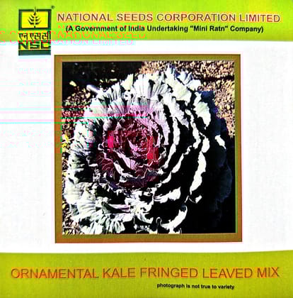 Ornamental Kale Fringed Leaved Mix-3gms