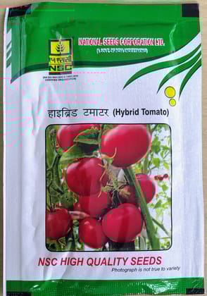 NSC Hybrid Tomato Seeds – Arka Samrat Variety