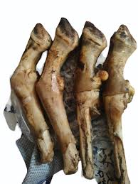 Mutton Trotters / Paya (Set of 4 whole legs) for Soup Curry Cut