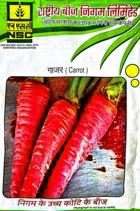 Carrot Pusa Rudhira – 50 g Pack