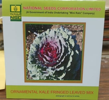 NSC Ornamental Kale Fringed Leaved Mix Seed 