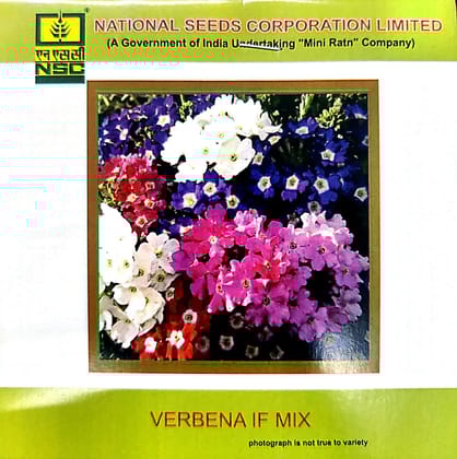 NSC Verbena I F Mix Flower Seed 