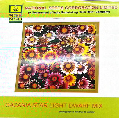 NSC Gazania Star Light Dwarf Mix Flower Seed 