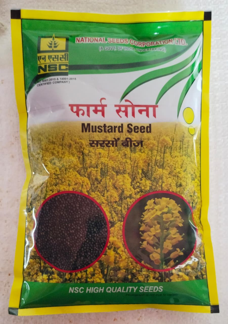 NSC MUSTARD / PM-30 / 1 Kg /TL Seeds