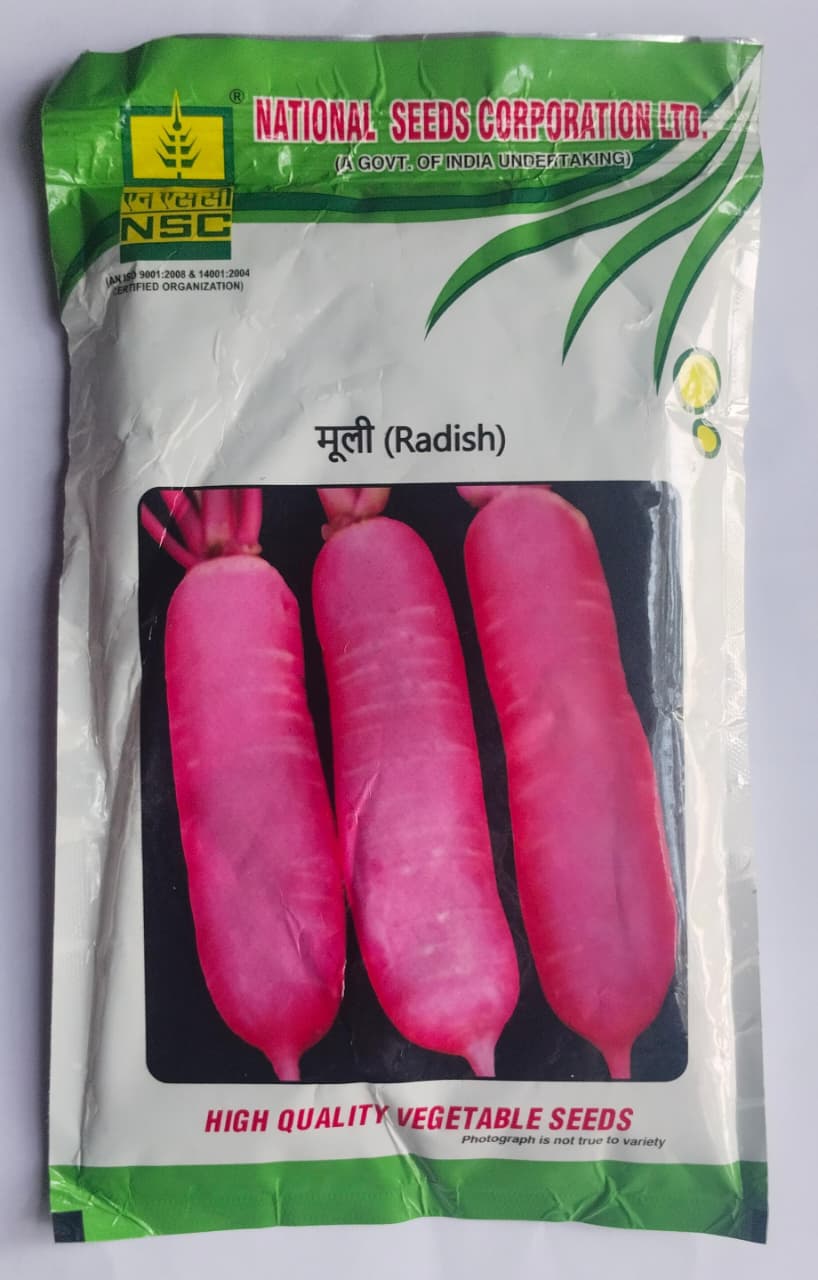 NSC RADISH/KASHI LOHIT/250g/TL Seed