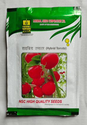 NSC Hyb.Tomato/Arka Samrat