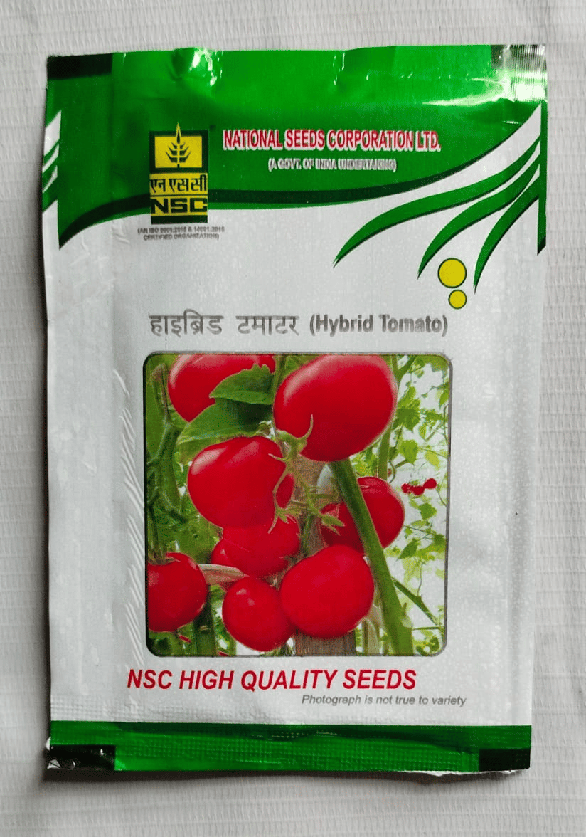 NSC Hyb.Tomato/Arka Samrat