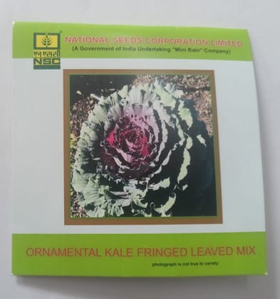 NSC Flower Ornamental Kale Fringed Leaved Mix  3 Gram Truthfully Labelled Seed Pouch