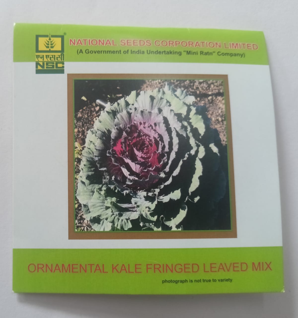NSC Flower Ornamental Kale Fringed Leaved Mix  3 Gram Truthfully Labelled Seed Pouch