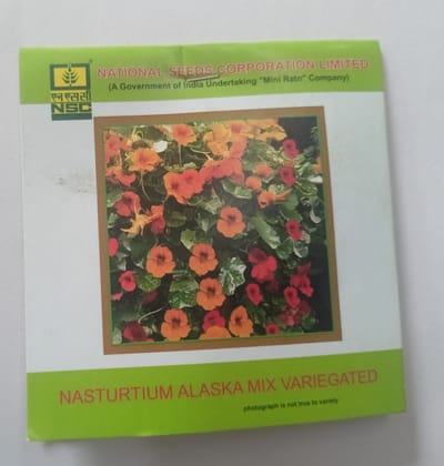 NSC Flower Nasturtium Alaska Mix Variegated  3 Gram Truthfully Labelled Seed Pouch