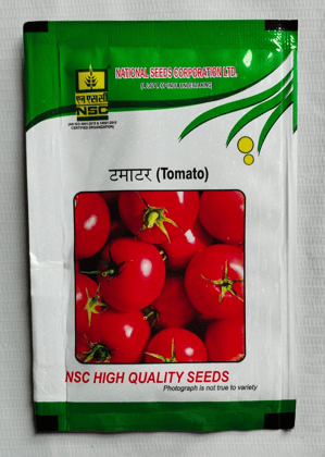 NSC Hybrid Tomato/Kashi Abhiman