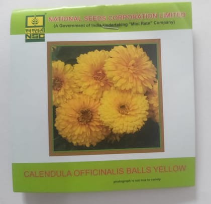 NSC Flower  Calendula Officinalis Balls Yellow 3 Gram Truthfully Labeled Seed Pouch