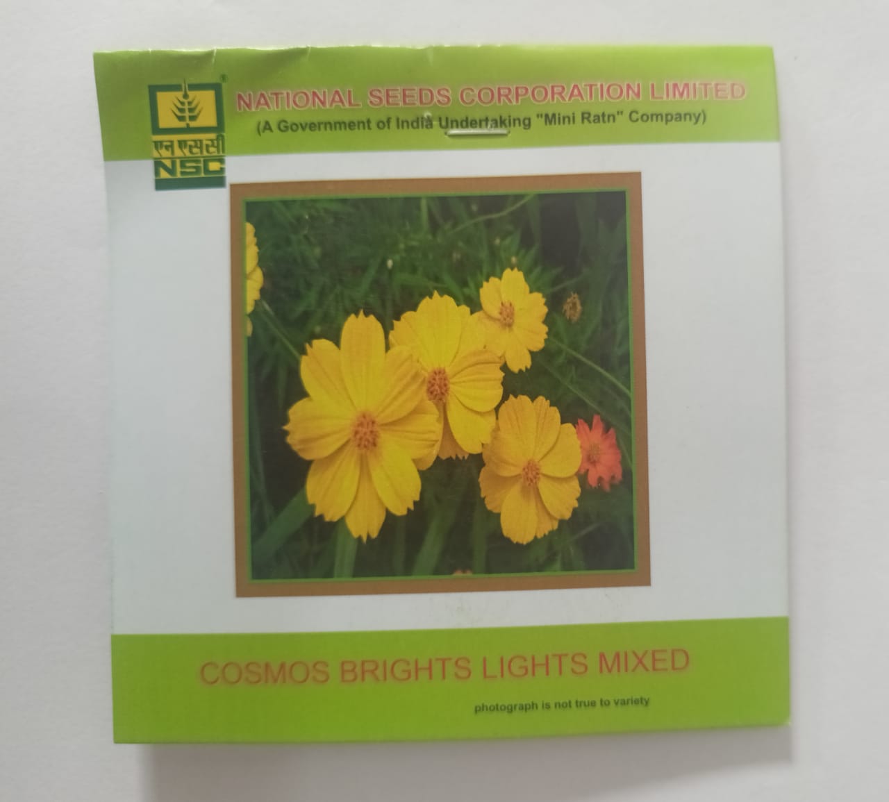 NSC Flower  Cosmos Brights Lights Mixed 3 Gram Truthfully Labeled Seed Pouch