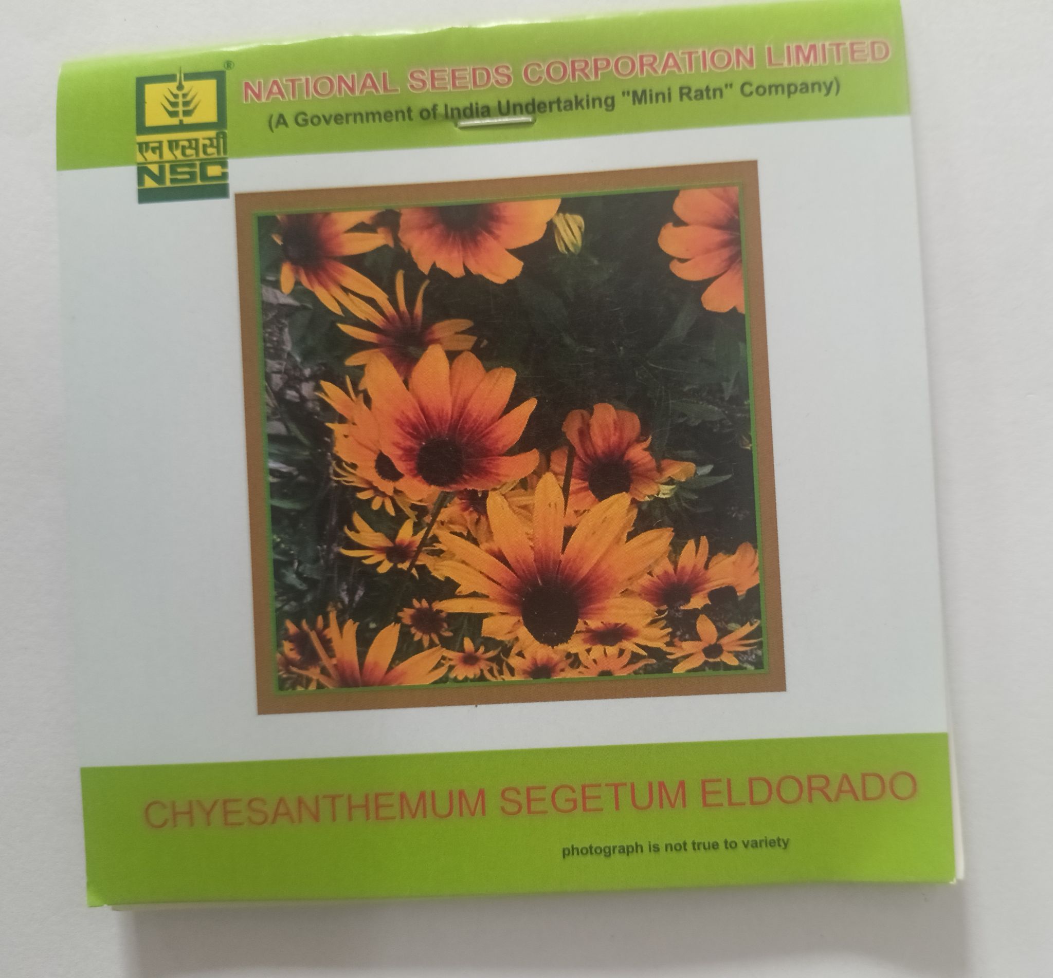 NSC Flower Chrysanthemum Segetum Eldorado 3 Gram Truthfully Labeled Seed Pouch