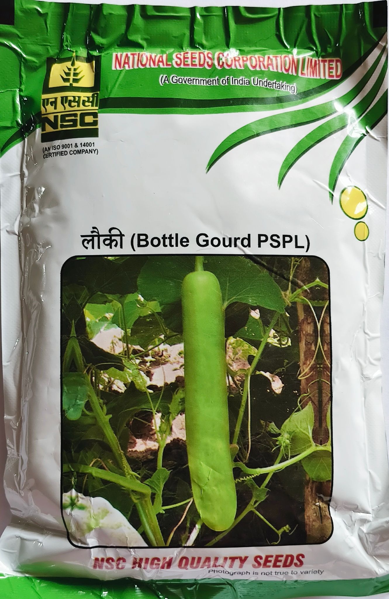 National Seeds Corporation Limited Bottle Gourd PSPL High Quality Seeds