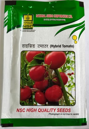 NSC HYBRID TOMATO - ARKA SAMRAT; 10gms