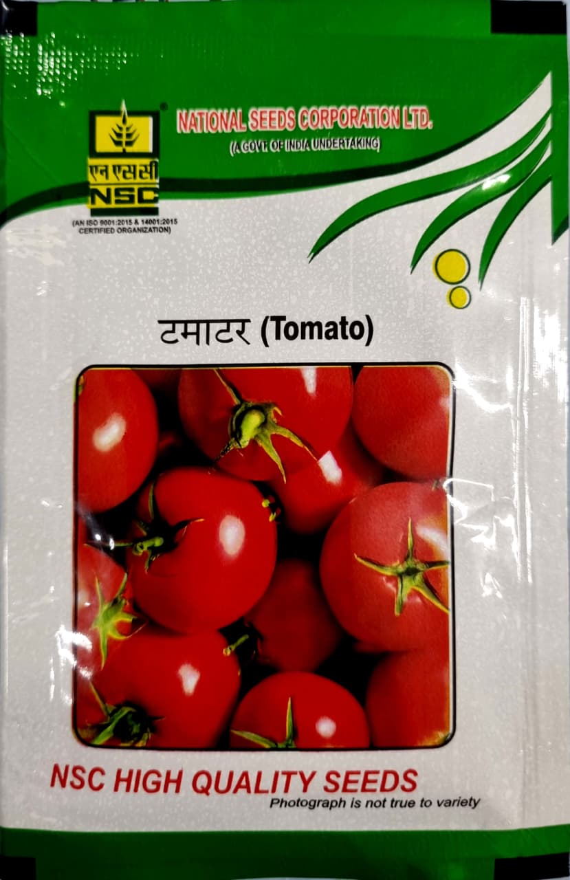 NSC HYBRID TOMATO SEEDS - KASHI ABHIMAN - 10 GMS POUCH