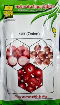 NSC ONION SEEDS - AFLR TL - 250GMS NSC ONION SEEDS - AFLR TL - 250GMS