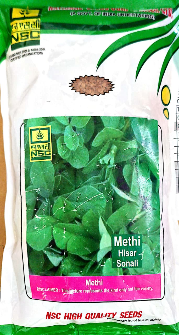 NSC Methi Hisar Sonali T/L Fenugreek Seeds - High Quality (500 gm)